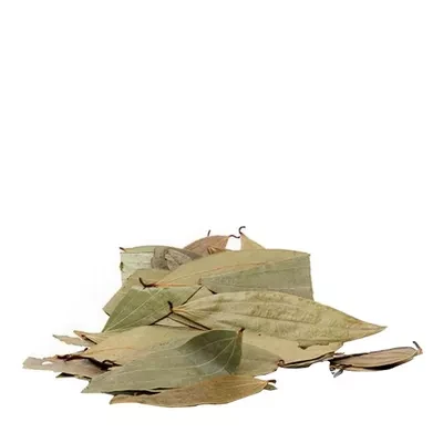 Bay Leaf (Tejpata)