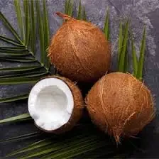 Narikel (Coconut)