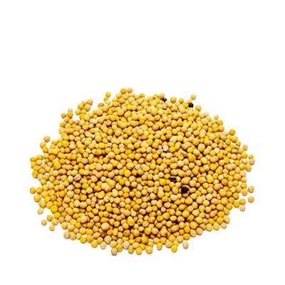 Mustard Seed (Yellow)