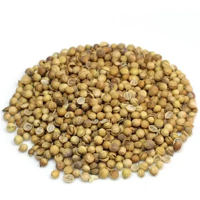 Coriander (Dhonia)